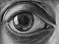 Eye (1946)