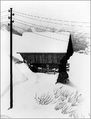 Snow (1936)