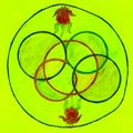 C. Everett Roses and Rings C2 symmetry