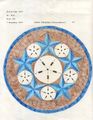 J. Wooldridge Stars D5 symmetry